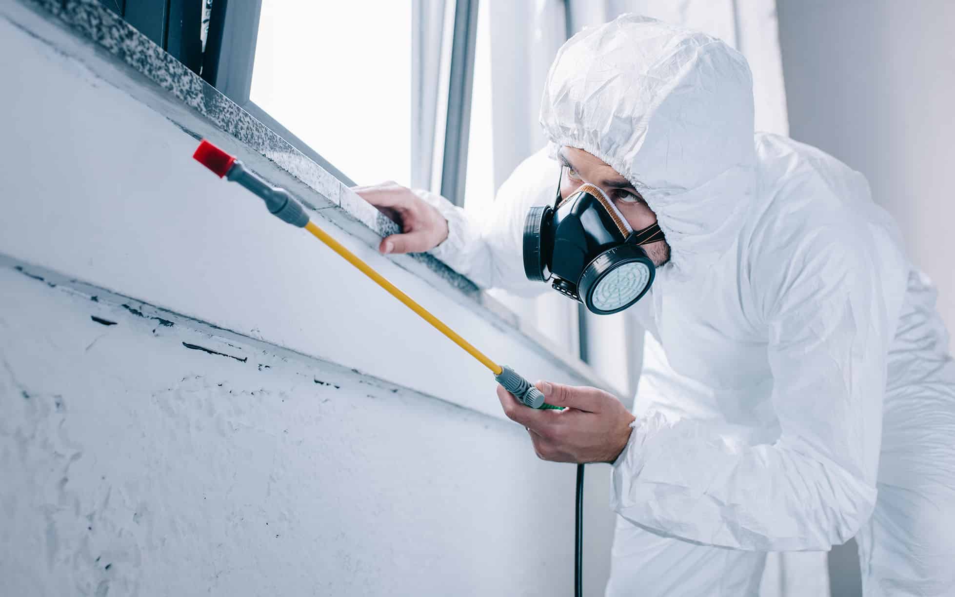 Pest Control Worker
