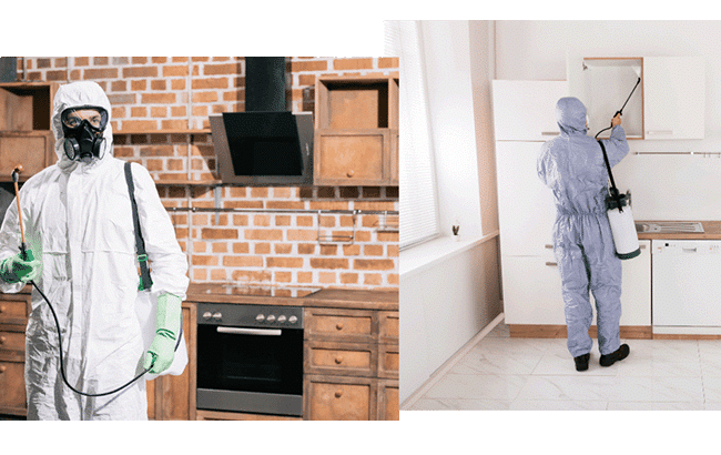 Professional pest exterminators treating kitchens in Dallas for infestations.