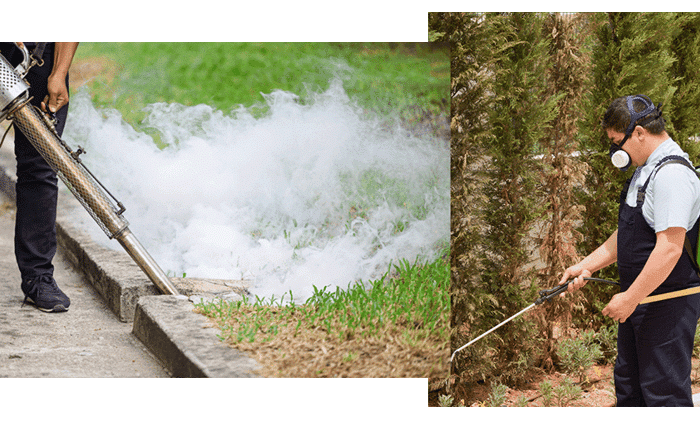 Professional pest control technicians performing outdoor fumigation and perimeter treatment in Fort Myers.
