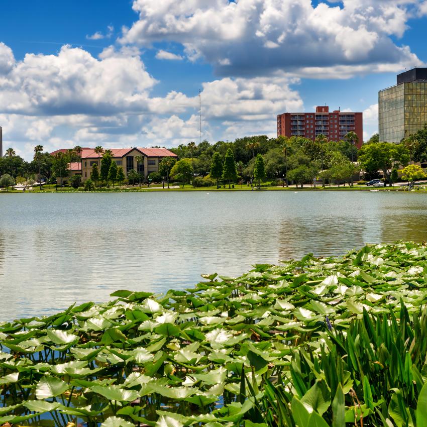 Pest Control in Lakeland, FL – Local Experts